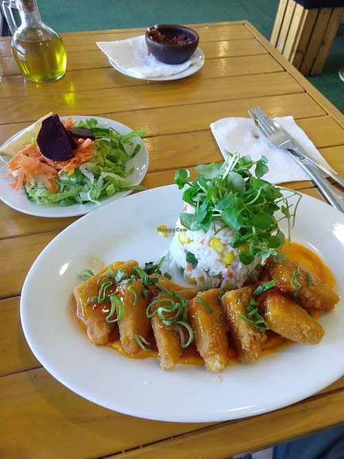 Crispy tofu, rice, salad at Kalendula in Santiago