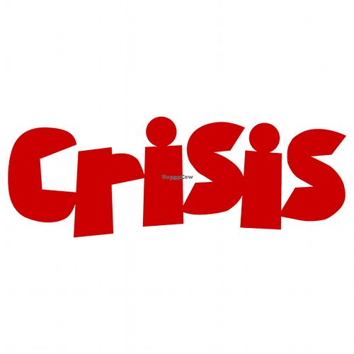 Cafe from Crisis at Cafe from Crisis in Newcastle Upon Tyne