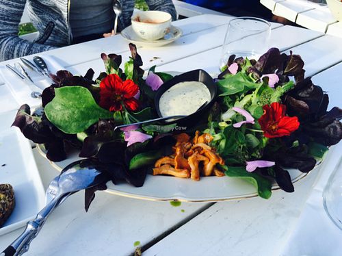 the most delectable salad ever with vegan herb aioli at Hornuddens Tradgard in Straengnaes