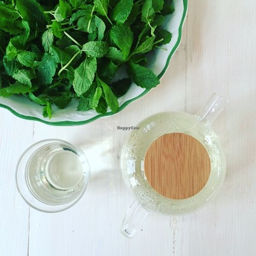 Fresh mint tea  at Sprout Health Foods in Newquay