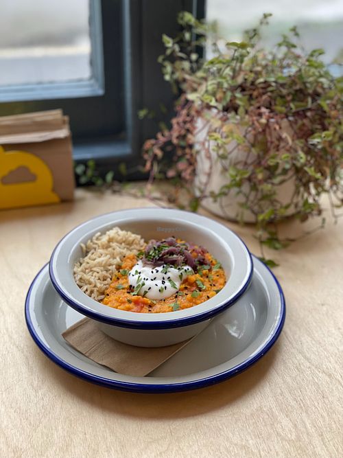  at Sprout Health Foods in Newquay