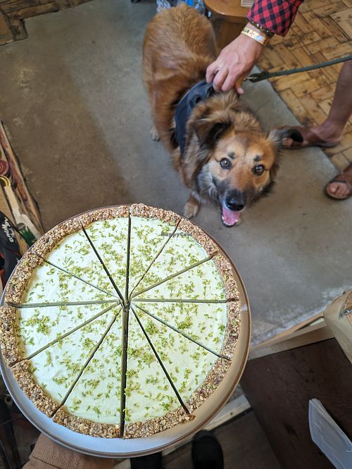 Key lime pie. Vegan G.F with no refined sugar (and with loads of zingy lime juice 😋) at Sprout Health Foods in Newquay