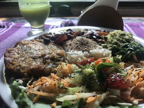 Feijoada at Flo de Jambo in Recife