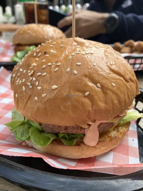   at The Hold in Manly