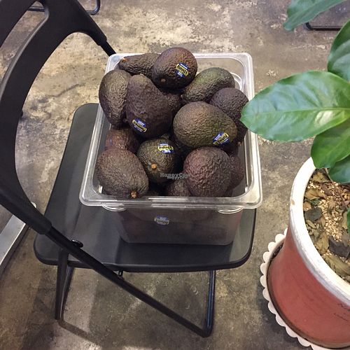 they have avocados!! at Refresh5.7 - 리프레쉬 5.7 연남동점 in Seoul