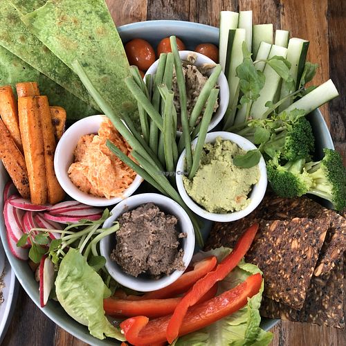 Image of The Shady Shack