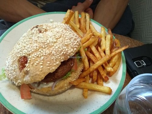 Vegan burger with veganaise at La Face B in Lille