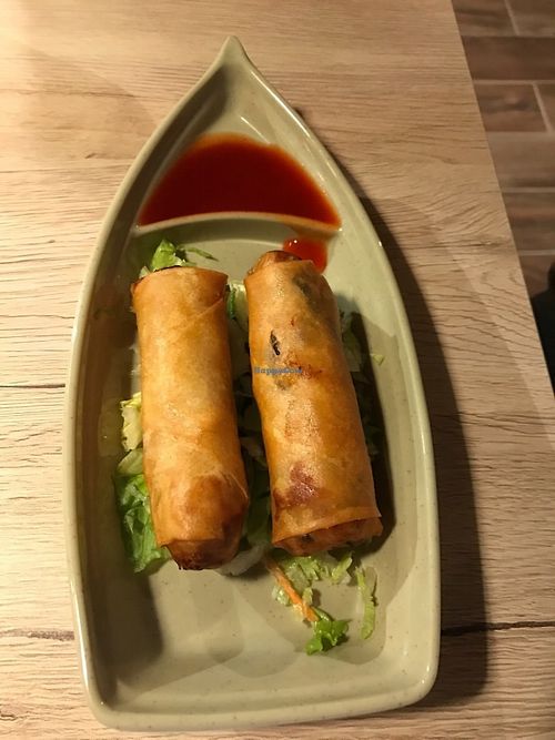 House Spring Rolls at Veggie Village in Phoenix