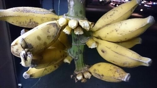Silver Bananas  at A Requinha - Food Trailer in Ponta Delgada