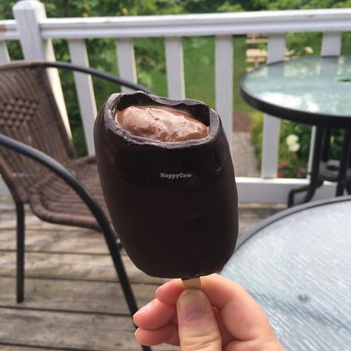 chocolate soy ice cream stick (non-dairy) at Chocolates Favoris in Quebec