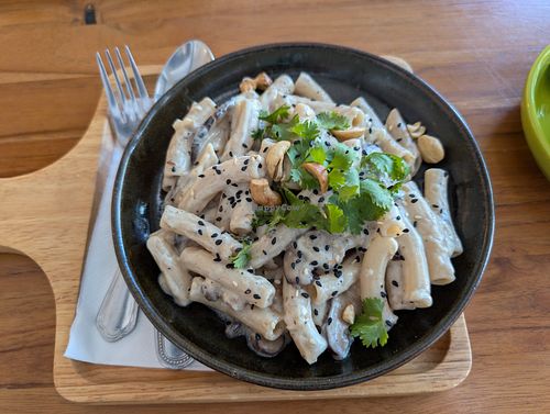 Creamy Pasta at Coco & Co in Vientiane