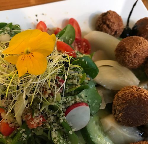 dish of the day at Up Fresh Energy in Wurzburg