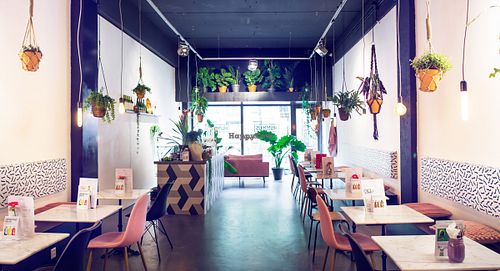 Inside the restaurant at Hummus in Delft