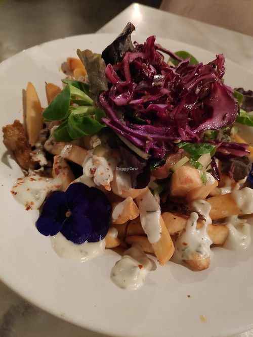 Hummus Delft Restaurant HappyCow