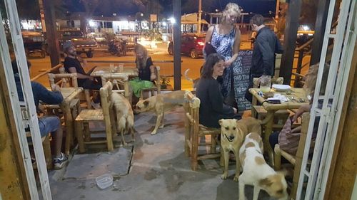 fiesta de perros at Gordo Gorila in Mancora
