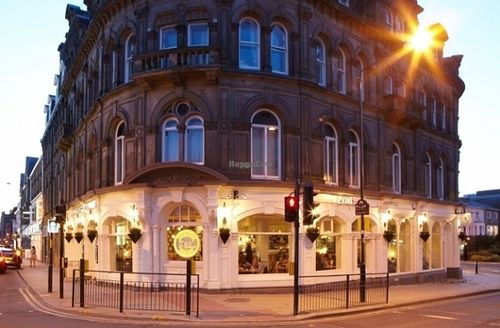 Zizzi at Zizzi in Harrogate