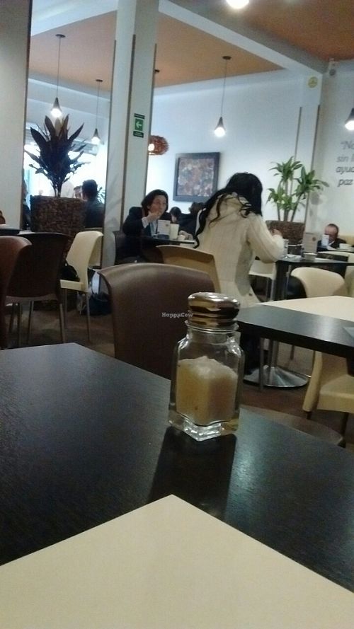 Interior at Esencia Pura in Bogota