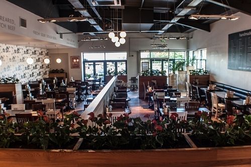 Interior at Handmade Burger Company - Valley Centertainment in Sheffield