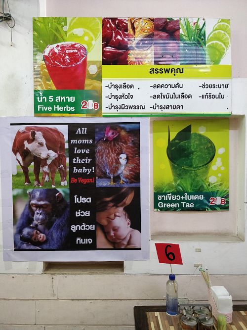 All moms LOVE their Babies. Be vegan! at Jai Mai Jumjay in Chiang Mai