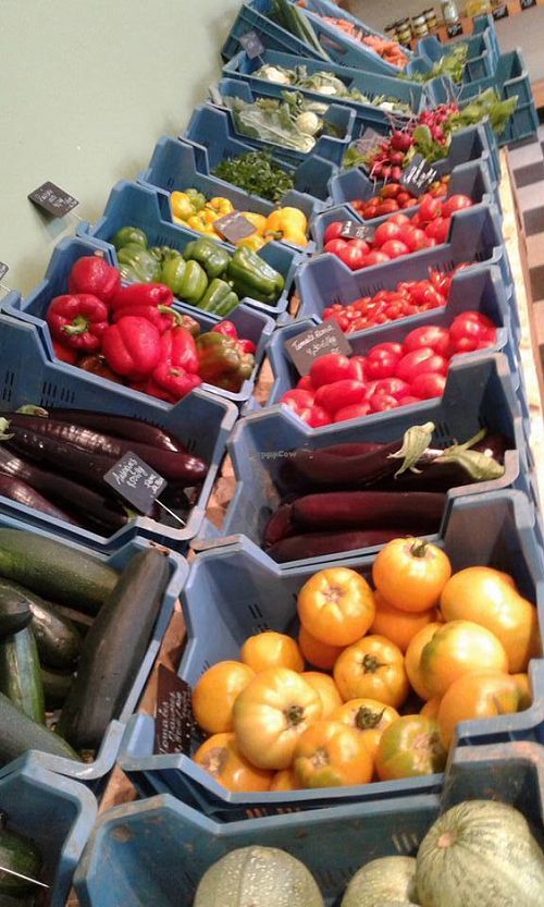 vegetables at Chez Raoul Fruits et Legumes in Charleroi