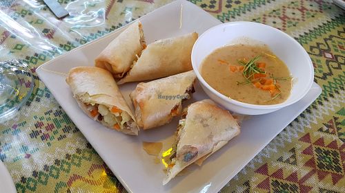 Fried spring rolls at Thai Muang Vegetarian Cooking Class in Chiang Mai