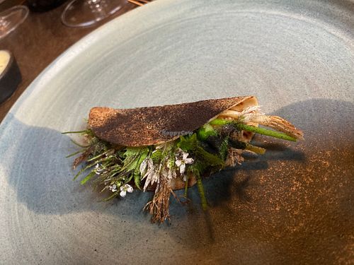 Soft tortilla with a crazy great contraction of salads flowers  at Formel B in Frederiksberg