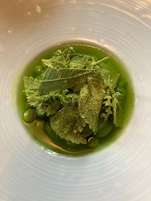 Pees and asparagues in a green soup.  at Formel B in Frederiksberg