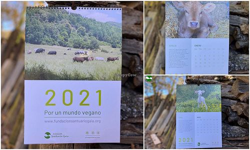 calendar  at Santuario Gaia in Camprodon