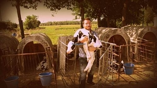 Rescate de Samuel at Santuario Gaia in Camprodon