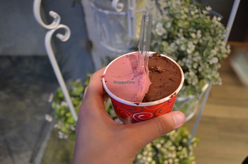 Vegan Dark Chocolate and Strawberry Sorbet  at Il Gelato di Bruno in Timisoara