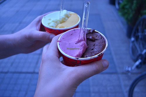 Some vegan flavors. Always ask, not all ice cream is vegan at Il Gelato di Bruno in Timisoara