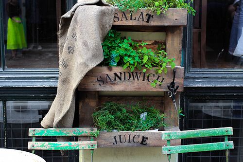 Vibe at Hope Organic in Copenhagen