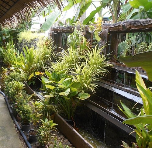 Sala Mexicali  at Sala Mexicali in Phuket