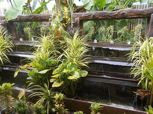 Sala Mexicali  at Sala Mexicali in Phuket