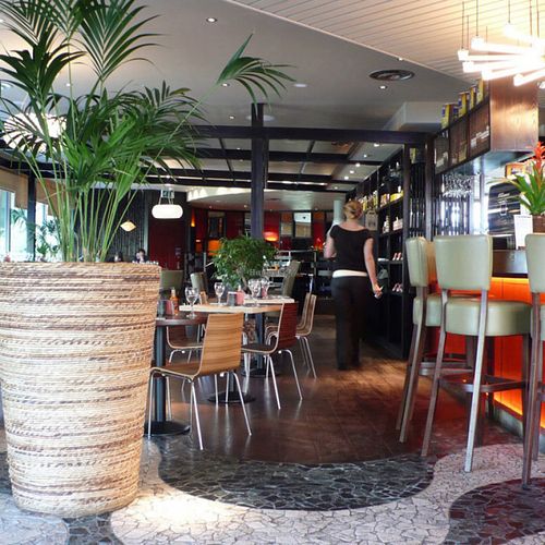 Las Iguanas at Las Iguanas in Oxford