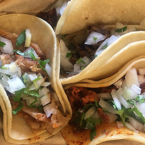 Tacos!  at El Palote Panaderia in Dallas
