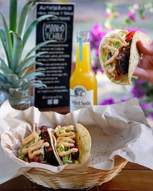 Classic Tacos at Mango y Chile in Bacalar