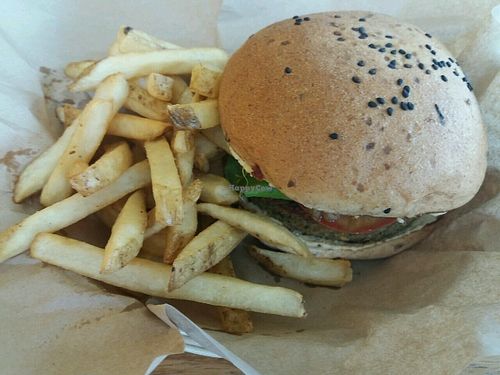 falafel burger at Mango y Chile in Bacalar