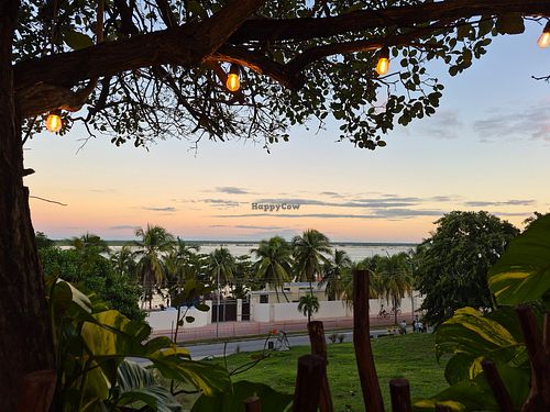  at Mango y Chile in Bacalar