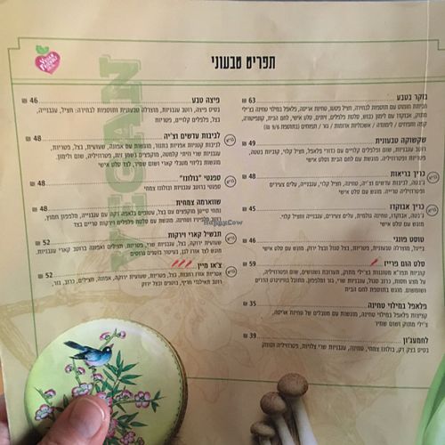 vegan menu at Greg Cafe in Tiberias