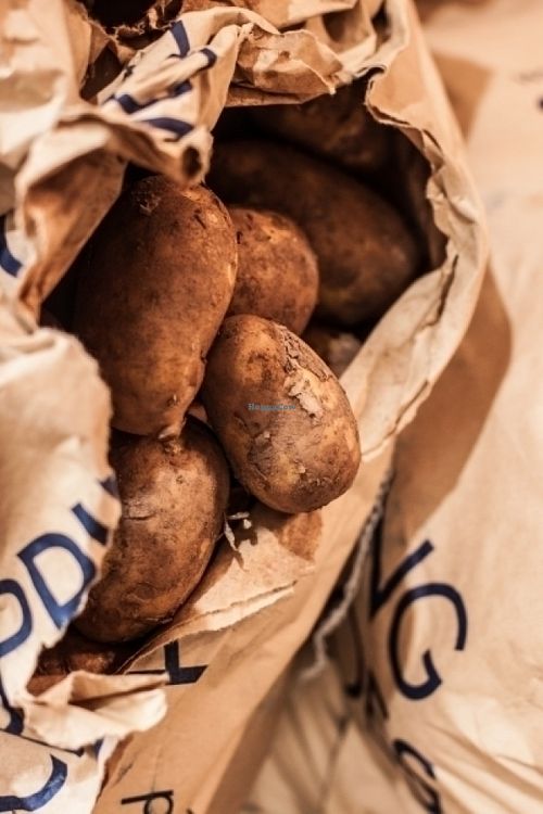 Handmade Burger Co. at Handmade Burger Co. in Gateshead