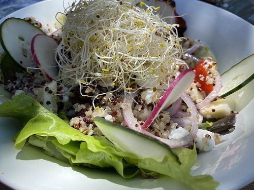 Greek bowl   at Aubergine in Ibiza