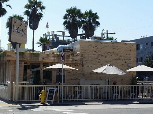 outside at Tocaya Modern Mexican in Venice