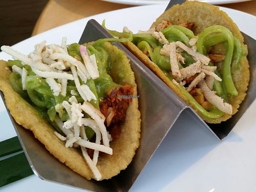 vegan tacos at Tocaya Modern Mexican in Venice