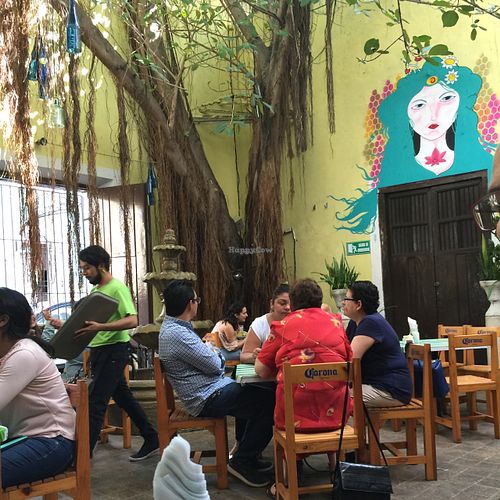 lovely patio at Avocado Vegetariano - Centro in Merida