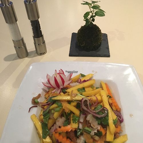 Mango Salat at AnSa in Munich