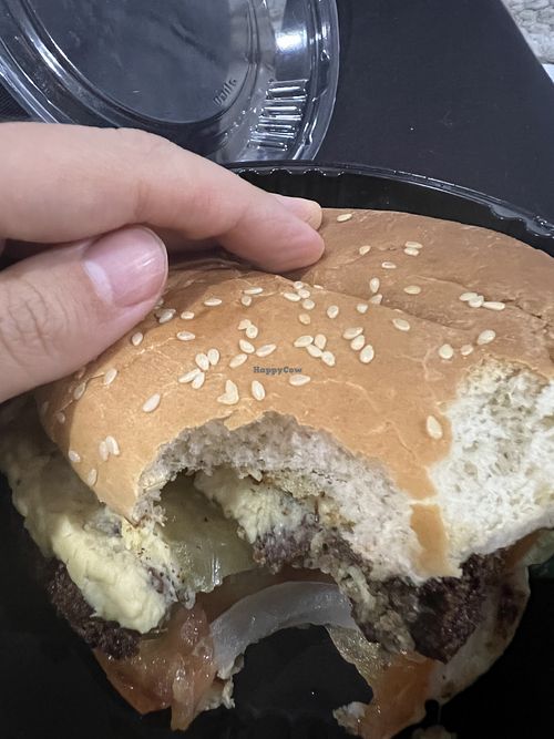 Falafel burger   at Al Arz Delicias Arabes in Riohacha