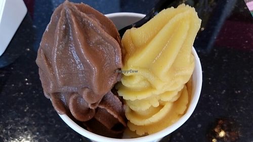 coconut and cacao with pineapple and passion fruit at Frozen Fruit Co in Santa Monica