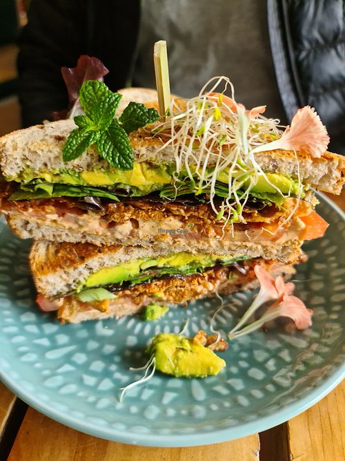 BLT: presented beautifully at Particle Cafe in Avondale Heights