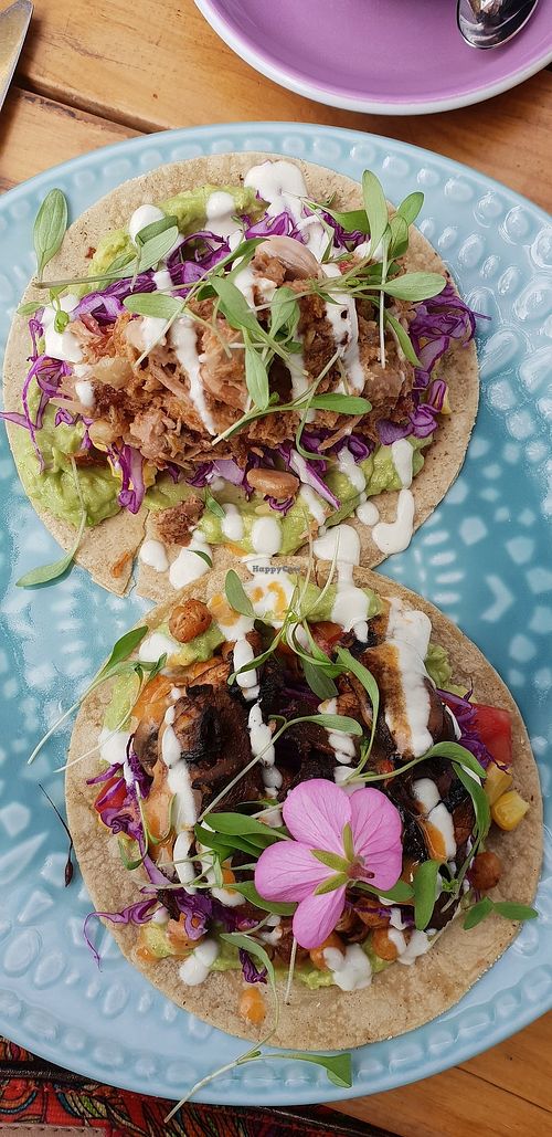 Tacos! at Particle Cafe in Avondale Heights